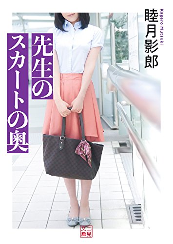 先生のスカートの奥(小説)