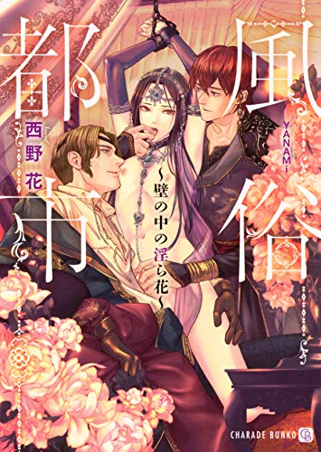 風俗都市 〜壁の中の淫ら花〜