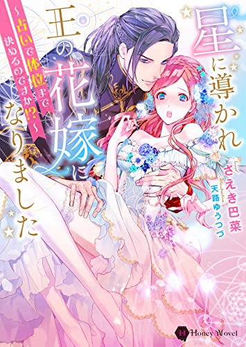 星に導かれ王の花嫁になりました 〜占いで体位まで決めるのですか!?〜の表紙