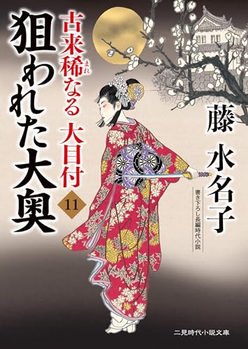狙われた大奥 古来稀なる大目付11