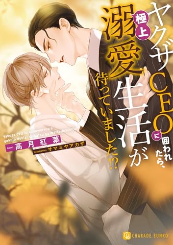 ヤクザCEOに囲われたら、極上溺愛生活が待っていました!?