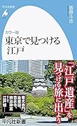 カラー版 東京で見つける江戸 (975)