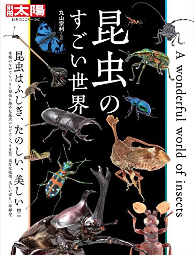 一気にわかる！池上彰の世界情勢２０１８ 国際紛争、一触即発編