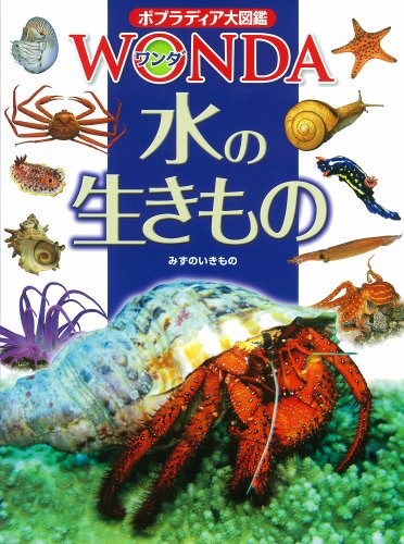 一気にわかる！池上彰の世界情勢２０１８ 国際紛争、一触即発編