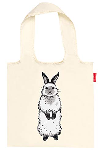 3月のライオン 14 特装版 白ウサギ