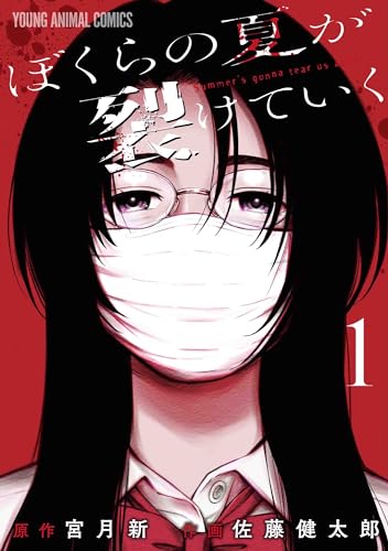 ぼくらの夏が裂けていくの表紙