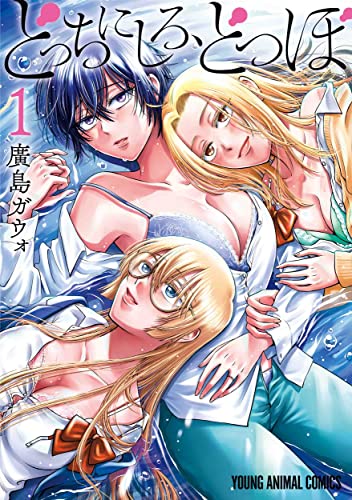 どっちにしろ、どつぼの表紙
