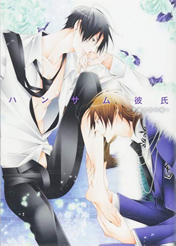 ハンサム彼氏〜学園の王子様〜