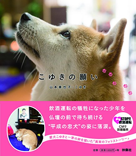 一気にわかる！池上彰の世界情勢２０１８ 国際紛争、一触即発編