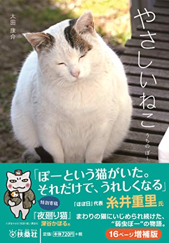 やさしいねこ