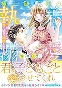 極上御曹司の執着溺愛〜愛人だと思っていたら妻に望まれ妊娠しました〜