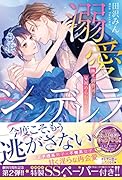 溺愛シンデレラ 極上御曹司に見初められました