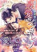 エリート御曹司の最愛シンデレラ〜家政婦になったら溺愛が待っていました〜