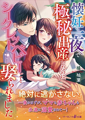 懐妊一夜で極秘出産したのに、シークレットベビーごと娶られました