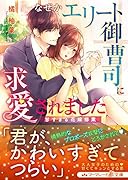 なぜかエリート御曹司に求愛されました〜甘すぎる花嫁修業〜