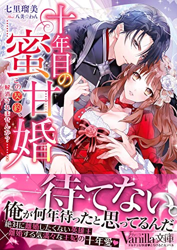 十年目の蜜甘婚〜この契約、解消されませんか?〜