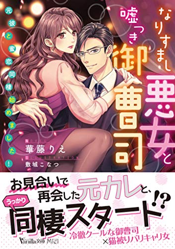 なりすまし悪女と嘘つき御曹司〜元彼と蜜恋同棲始めました!〜