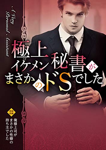 極上イケメン秘書がまさかのドSでした