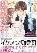 幼なじみが極上御曹司にキャラ変して熱烈求愛してきました