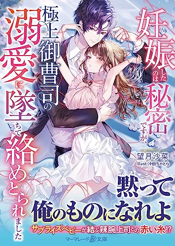 妊娠したのは秘密ですが、極上御曹司の溺愛に墜ちて絡めとられました