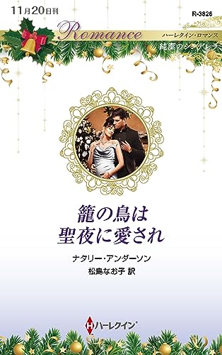 籠の鳥は聖夜に愛され