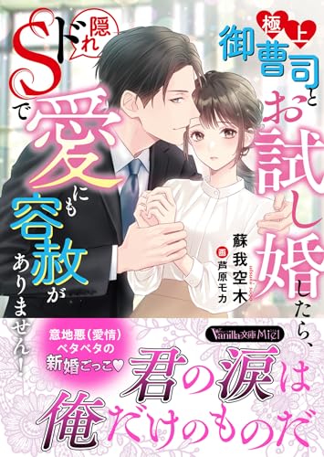 極上御曹司とお試し婚したら、隠れドSで愛にも容赦がありません!