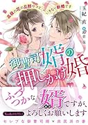 御曹司婿の押しかけ婚〜高嶺の花の旦那サマといきなり新婚です〜