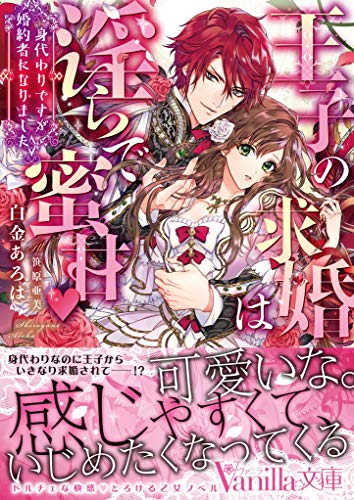 (仮)紅き王子の身代わり花嫁