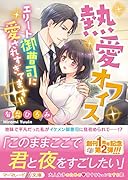 熱愛オフィス〜エリート御曹司に愛されすぎてます!!〜