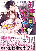 御曹司と秘密の契約〜不機嫌王子の抱き枕なんて困りますっ!〜