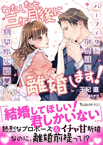 わたしたち、三ヶ月後に離婚します!〜パーフェクト御曹司と期間限定婚〜