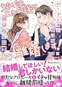 わたしたち、三ヶ月後に離婚します!〜パーフェクト御曹司と期間限定婚〜