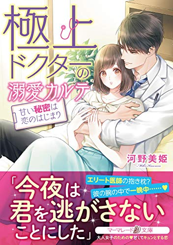 極上ドクターの溺愛カルテ〜甘い秘密は恋のはじまり〜