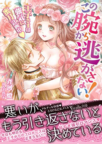 この腕から逃がさない!〜王子さまは強気に蜜月計画中〜