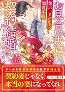 お見合い夫婦は契約結婚でも極上の愛を営みたい〜策士なドクターの溺愛本能〜