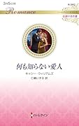 何も知らない愛人