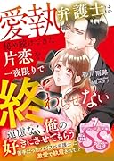 愛執弁護士は秘め続けてきた片恋を一夜限りで終わらせない