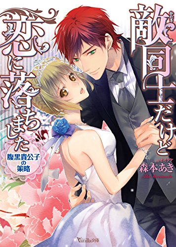 敵同士だけど恋に落ちました～腹黒貴公子の策略～