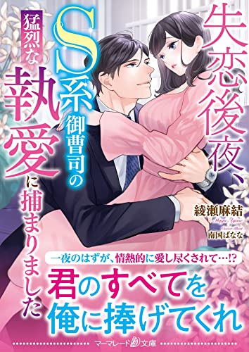 失恋後夜、S系御曹司の猛烈な執愛に捕まりました