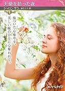 天使を拾った夜