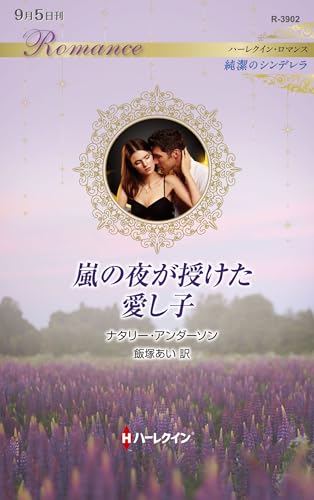 嵐の夜が授けた愛し子