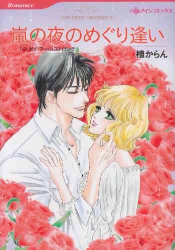 嵐の夜のめぐり逢い