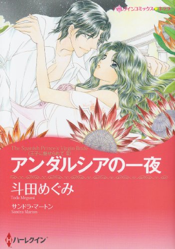 アンダルシアの一夜