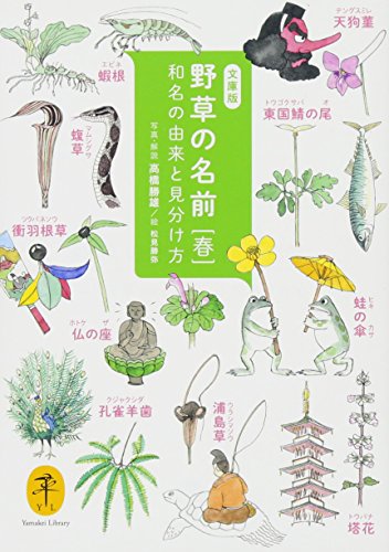 野草の名前 春 和名の由来と見分け方