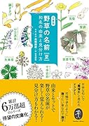 野草の名前(夏) 和名の由来と見分け方