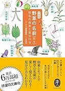 ヤマケイ文庫 野草の名前 秋冬