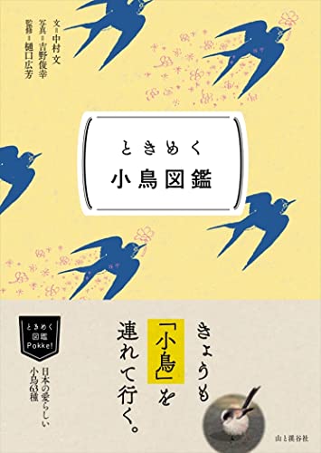 ときめく小鳥図鑑