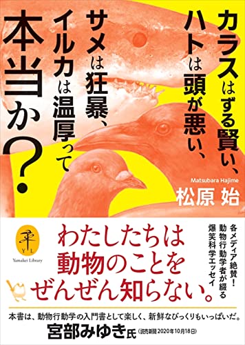 カラスはずる賢い、ハトは頭が悪い、サメは狂暴、イルカは温厚って本当か?
