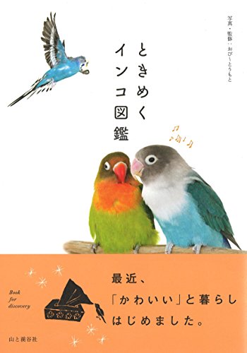 一気にわかる！池上彰の世界情勢２０１８ 国際紛争、一触即発編