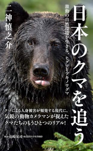 日本のクマを追う